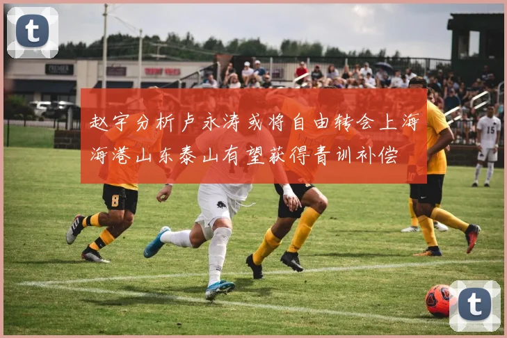 赵宇分析卢永涛或将自由转会上海海港山东泰山有望获得青训补偿
