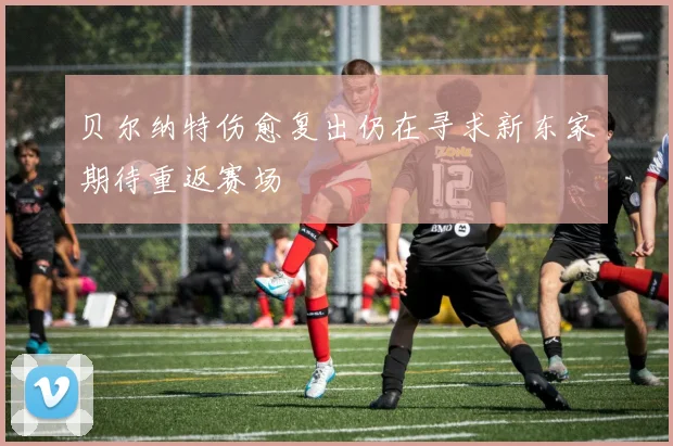 贝尔纳特伤愈复出仍在寻求新东家期待重返赛场