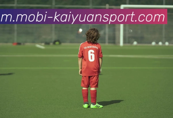 开元体育平台生态图